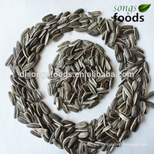 Chinese High Quality Sunflower Seeds